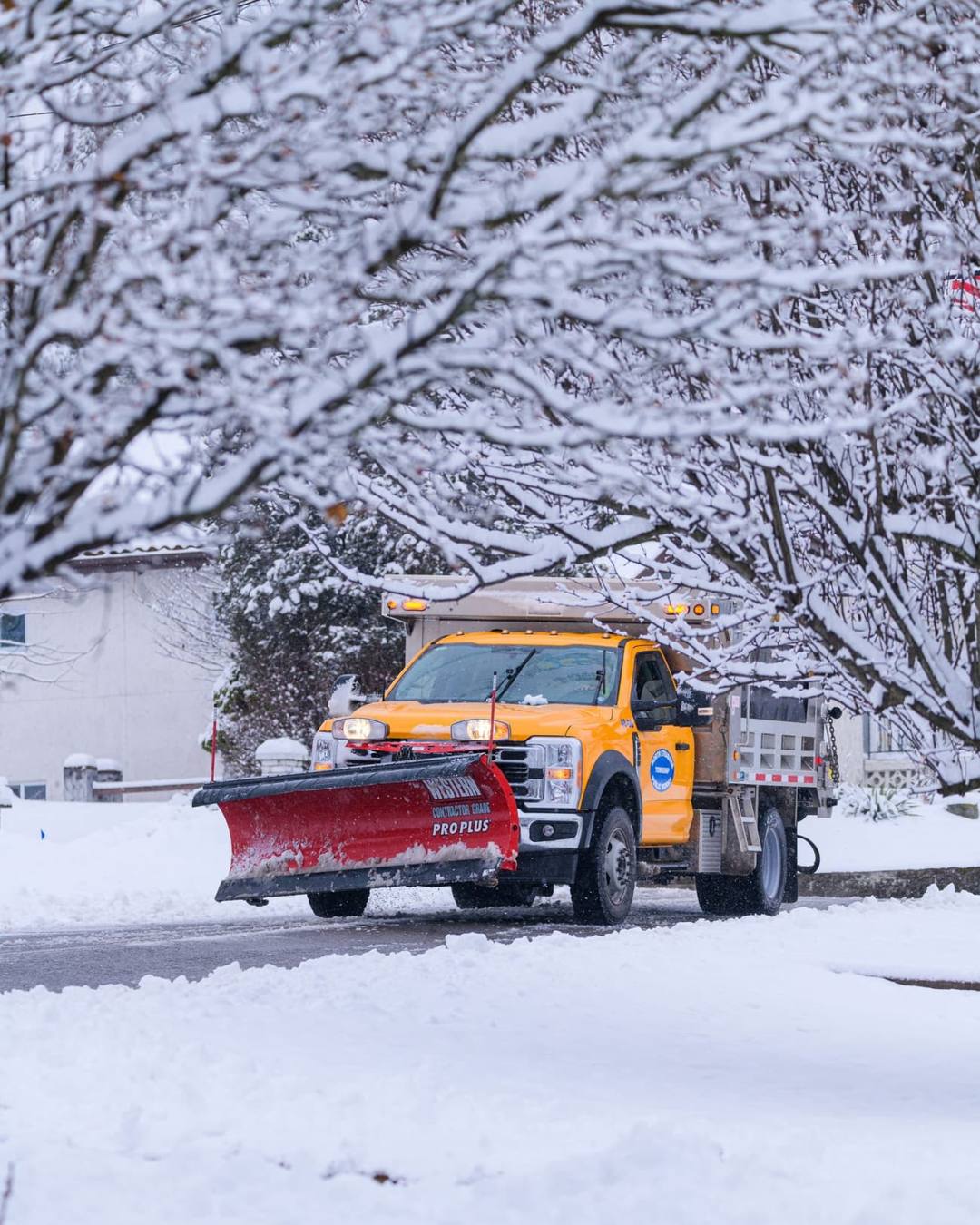 Snow plow truck clearing a snow-covered street lined with trees
